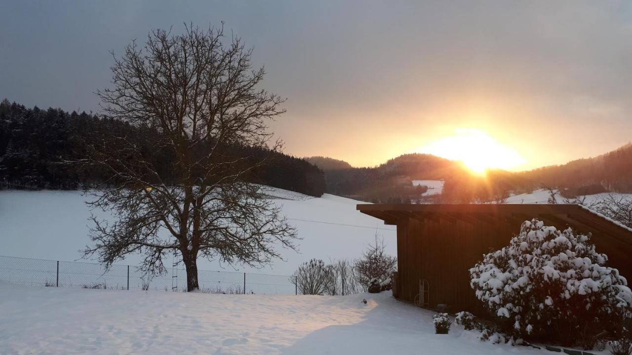 Ferienwohnung Eichkatzel Zell Exterior foto